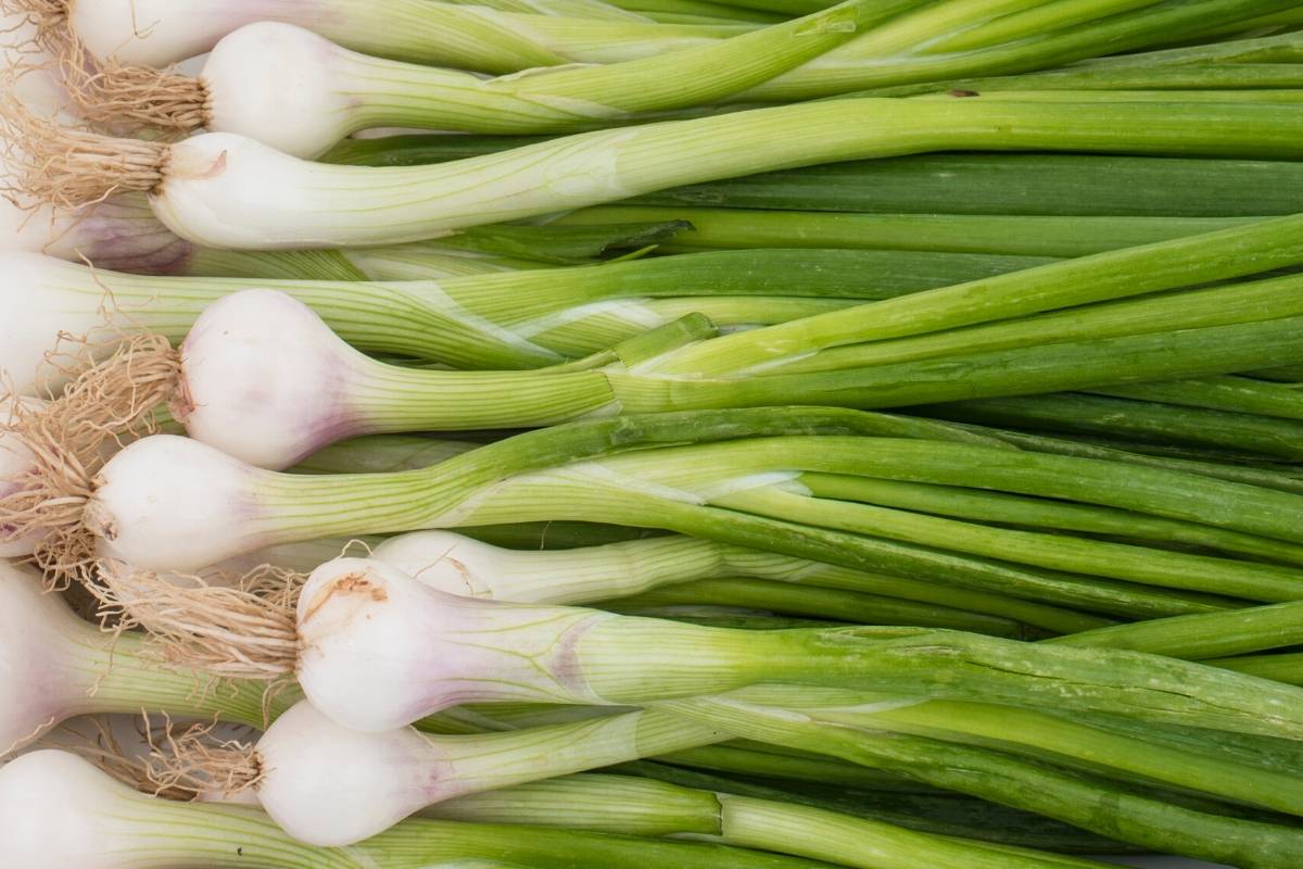 spring onions